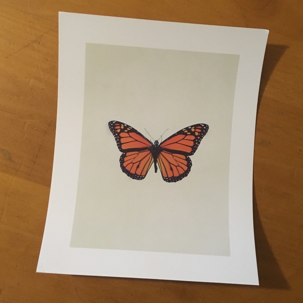 UO butterfly print
